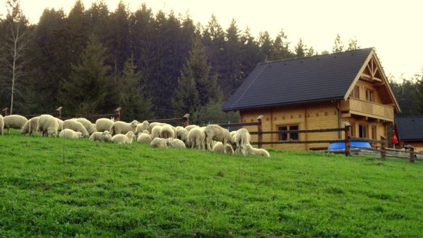 Drevenica Racibor Oravský Podzámok 12