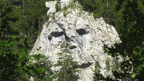 Chalupa Borovenka Veľké Borové 51