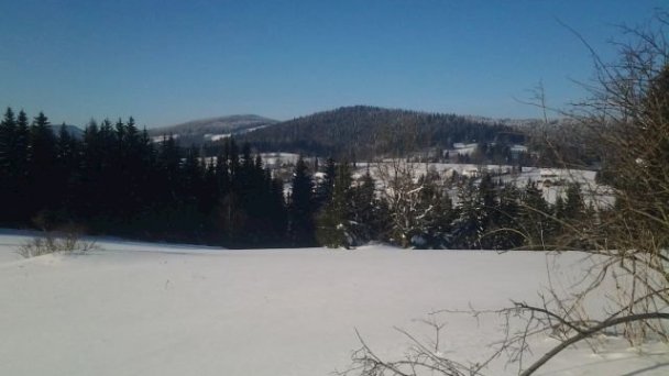 Chaty Hasky  Oravská Lesná 105