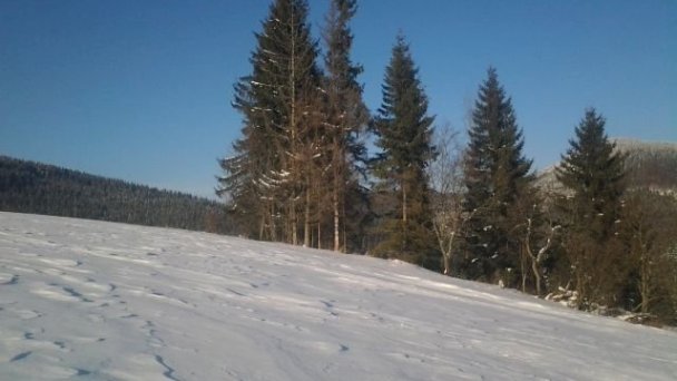 Chaty Hasky  Oravská Lesná 110