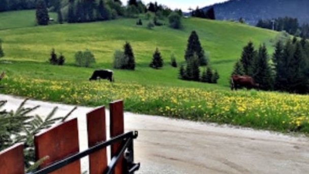 Rekreačná chata Nikol s wellness  Oravská Lesná 32