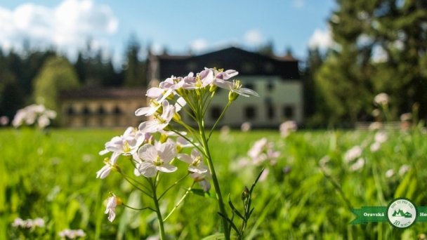Penzión Oravská horáreň Hruštín 21 Penzión Oravská horáreň Hruštín 21