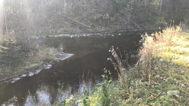 Kanadský zrub s privátnym wellness Oravský Biely Potok 36