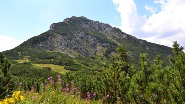 Penzión Kamzík a Drevenica Habovka 77