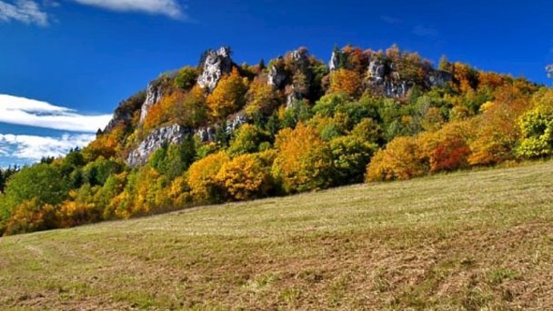 Chatka Gos na Oravskej priehrade Námestovo 12