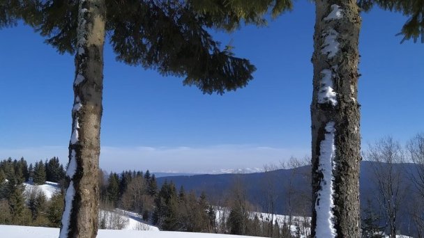 Lesňanská chata Oravská Lesná 36 Lesňanská chata Oravská Lesná 36