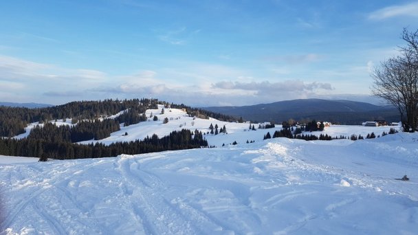 Chata Lavína Oravská Lesná 17