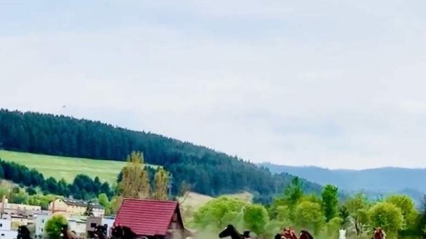 Zrub Bindt Hnilčík 113