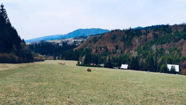 Dobrá chalúpka pod Kubínskou hoľou Dolný Kubín 10 Dobrá chalúpka pod Kubínskou hoľou Dolný Kubín 10