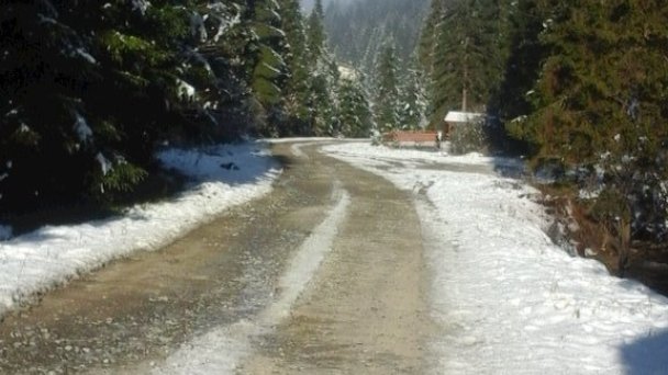 Chata Teplica Brezovica (okres Tvrdošín) 17