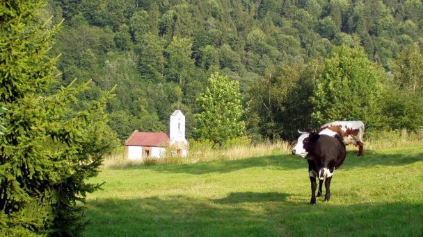 Chata Medzibrodie Mníšek nad Popradom 16 Chata Medzibrodie Mníšek nad Popradom 16