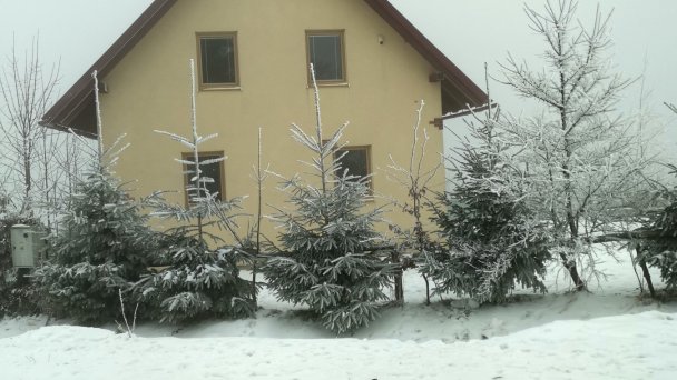 Chata Sisi 1337 Oravská Lesná 28