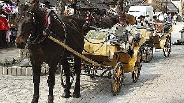 Ubytovanie Alojz Habovka 29