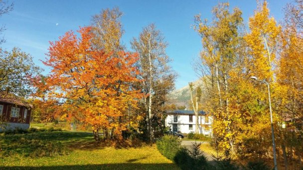 Apartmán Hviezdoslav Vysoké Tatry 23