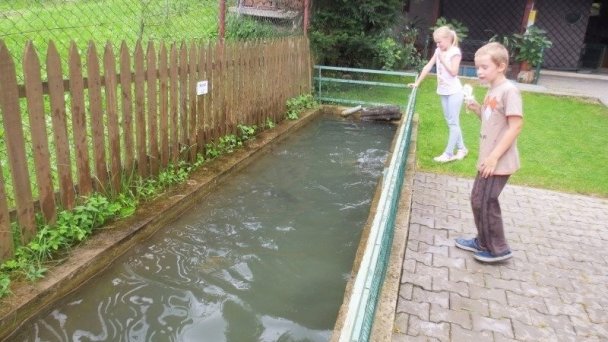 Privát Holubica a Rybka Habovka 32 Privát Holubica a Rybka Habovka 32