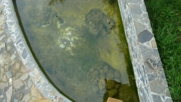 Drevenica Na Potoku Matiašovce 29