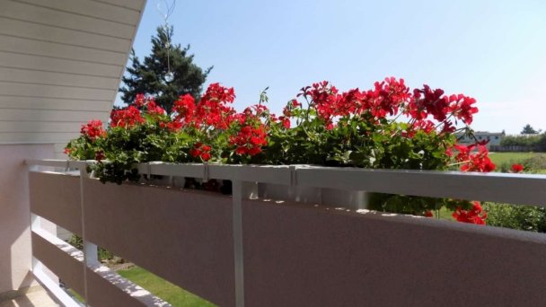 Villa Sofi Hrabušice 21