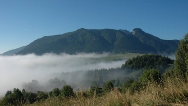 Štýlová chalupa v Zázrivej Zázrivá 19 Štýlová chalupa v Zázrivej Zázrivá 19