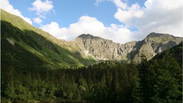 Apartmán Tekelová Habovka 12 Apartmán Tekelová Habovka 12