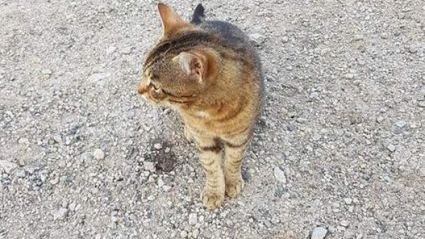 Ranč pod Ostrou skalou Stratená 63