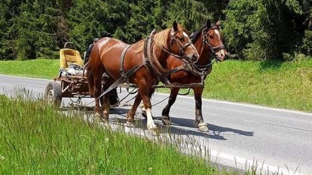 Ranč pod Ostrou skalou Stratená 64