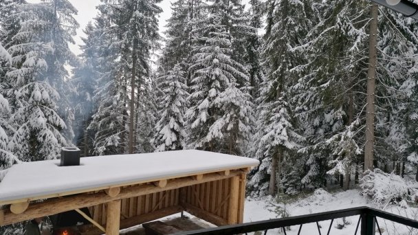 Drevenica Lesana pod Babou horou Oravská Polhora 5