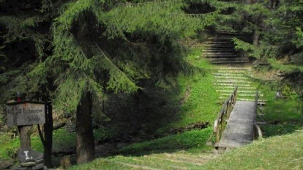 Drevenica a privát v Habovke 24