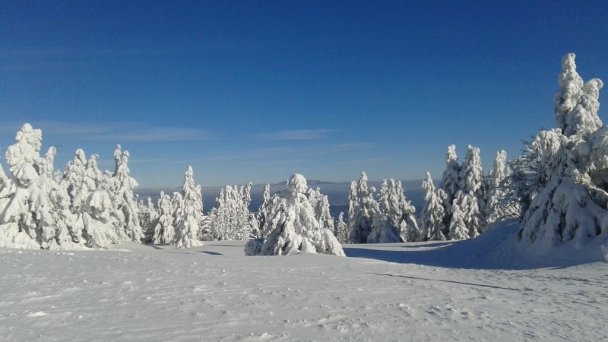 Chata Stred Kubínska hoľa - Dolný Kubín 46 Chata Stred Kubínska hoľa - Dolný Kubín 46