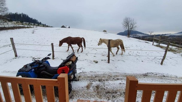 Chata pri jazere Leštiny 8 Chata pri jazere Leštiny 8