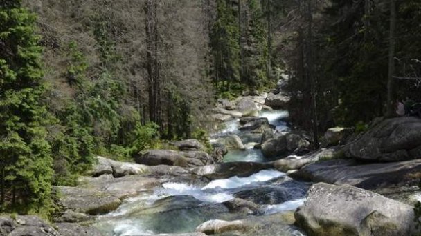 Chata Poľana Jezersko 11 Chata Poľana Jezersko 11