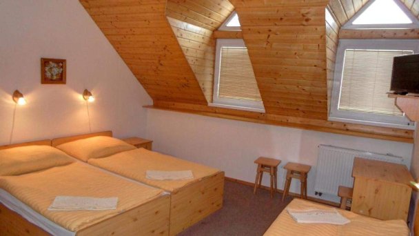 Antiqua Villa penzión Spišská Stará Ves 33