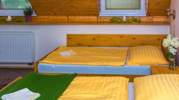 Antiqua Villa penzión Spišská Stará Ves 39