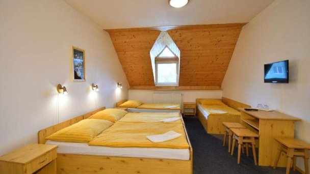 Antiqua Villa penzión Spišská Stará Ves 42