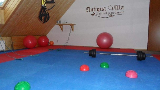 Antiqua Villa penzión Spišská Stará Ves 17