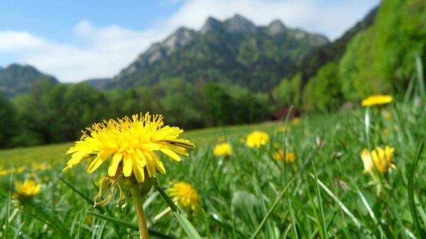 Antiqua Villa penzión Spišská Stará Ves 23