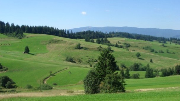 Drevenica Katka Pokryváč 11