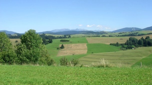 Drevenica Katka Pokryváč 10