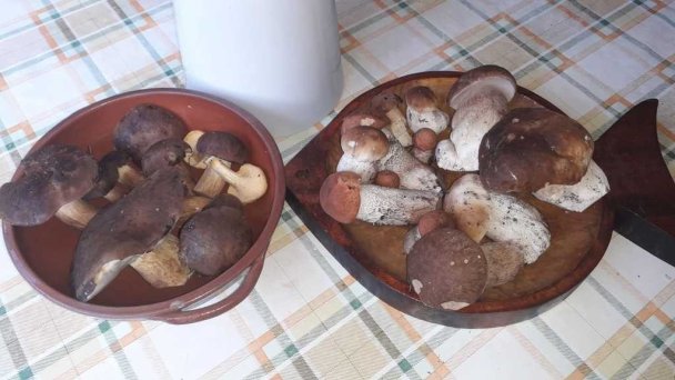 Oravská drevenička Lomná 23