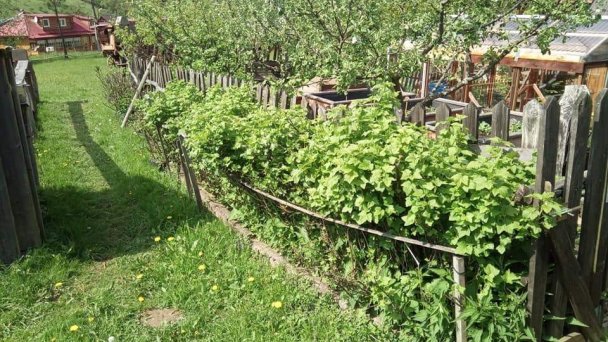 Chatka BeJa Malá Franková 17 Chatka BeJa Malá Franková 17