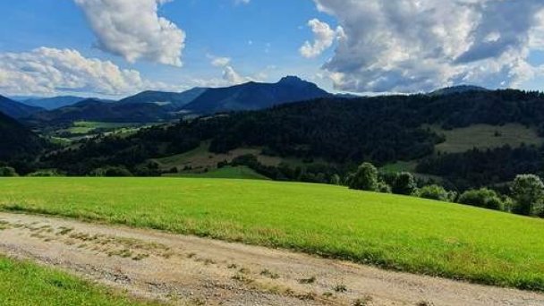 Chalúpka Lipa Zázrivá 9