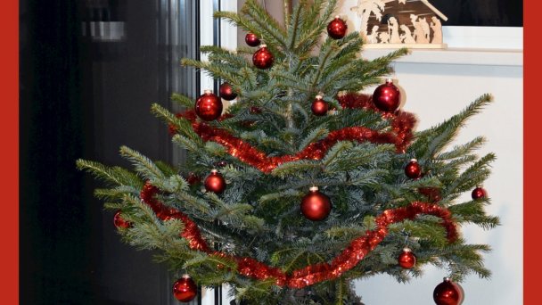 Apartmány ELEMIR Bešeňová 22