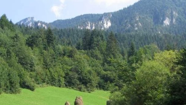 Chalupa u Bartošov Zázrivá 7 Chalupa u Bartošov Zázrivá 7