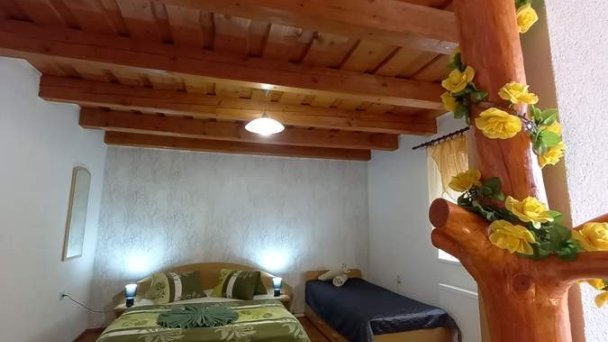 Apartmán Erika Bešeňová 17