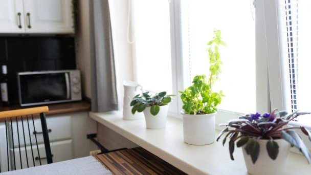 Staromestský vintage apartmán Štúrova Košice 13