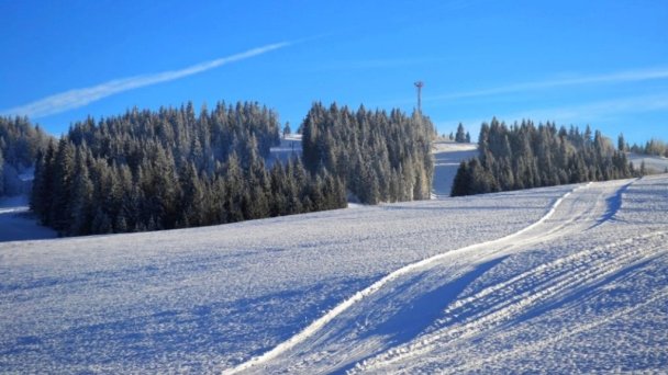Chata Tamara Oravská Lesná 8 Chata Tamara Oravská Lesná 8