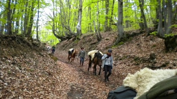 Penzión Skalná ruža Gemerská Hôrka 10