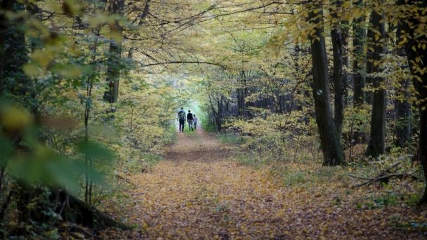 Penzión Skalná ruža Gemerská Hôrka 27