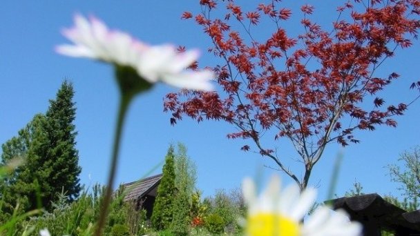 Penzión Veverica Nová Lesná 11 Penzión Veverica Nová Lesná 11