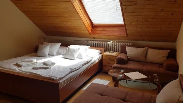 Vila Gabriel Nová Lesná 6