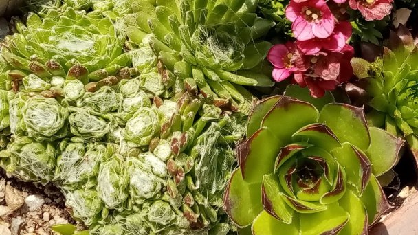 Privát Valéria Flanderová Dlhá Ves 23 Privát Valéria Flanderová Dlhá Ves 23